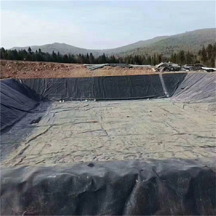 颠覆传统工地作业——多功能铲斗装载机的力量与创新